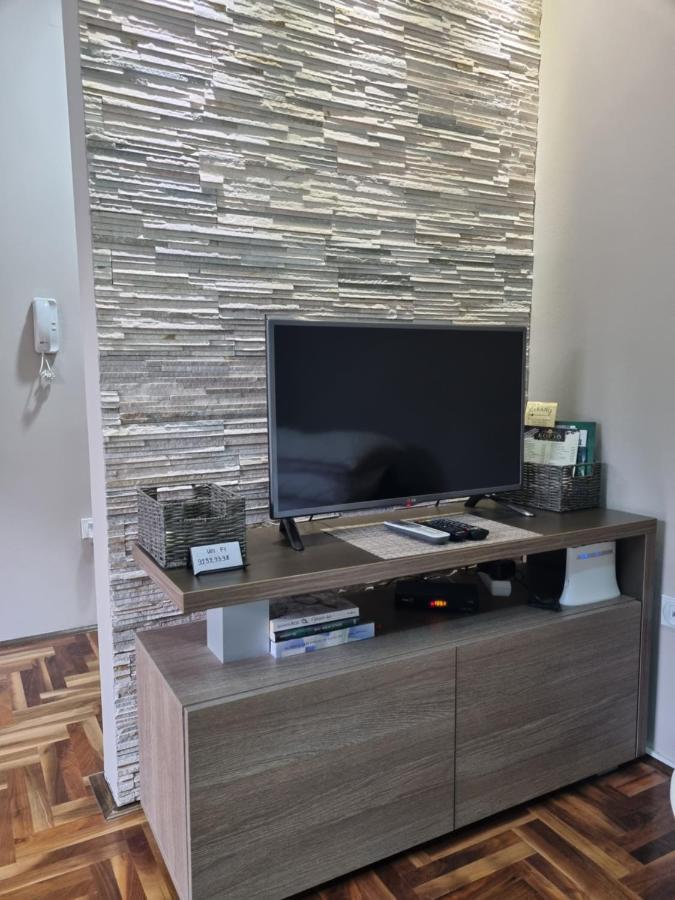 Apartman Ristanovic Banja Koviljača エクステリア 写真