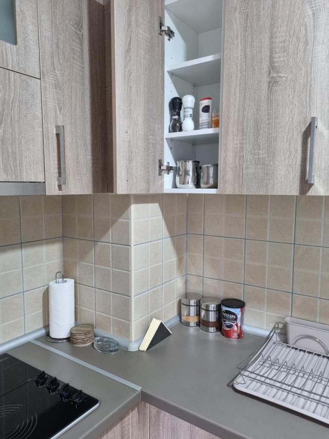 Apartman Ristanovic Banja Koviljača エクステリア 写真