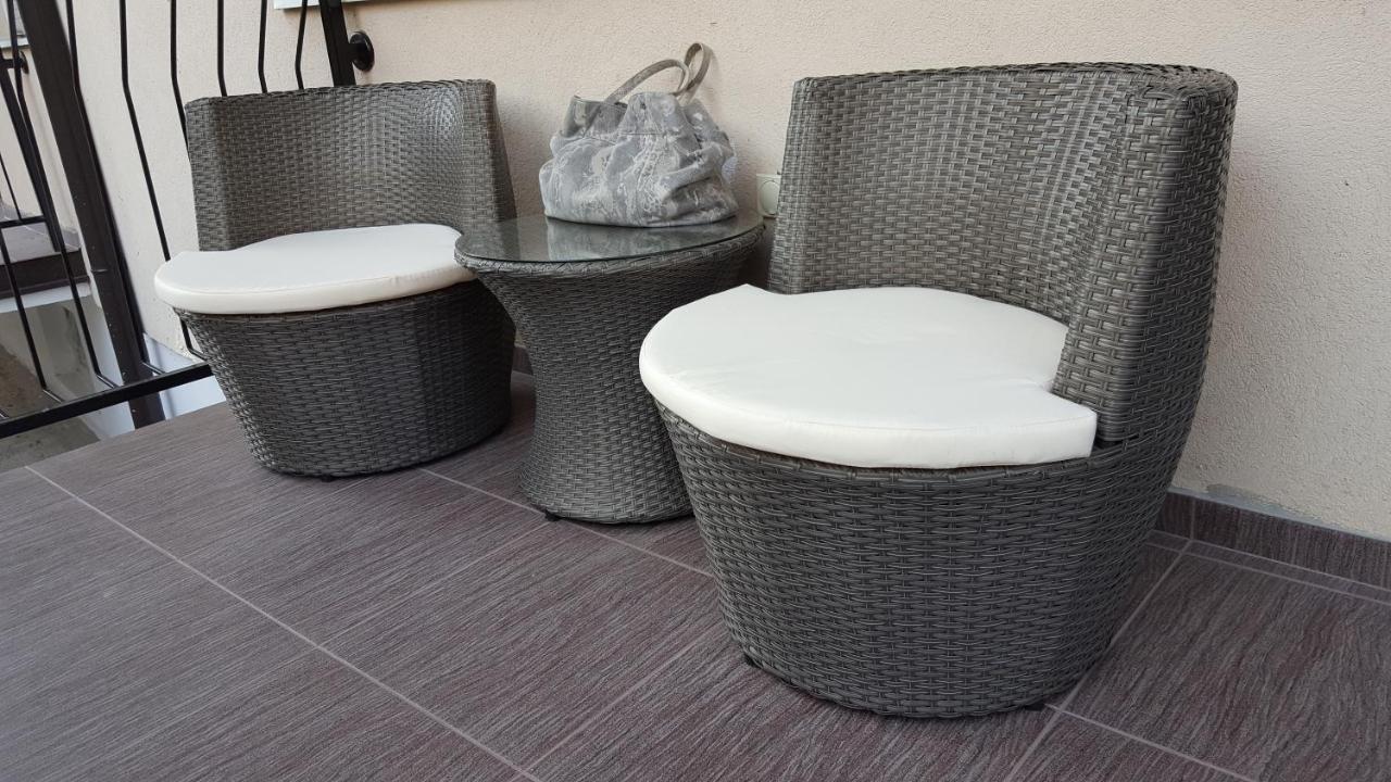 Apartman Ristanovic Banja Koviljača エクステリア 写真