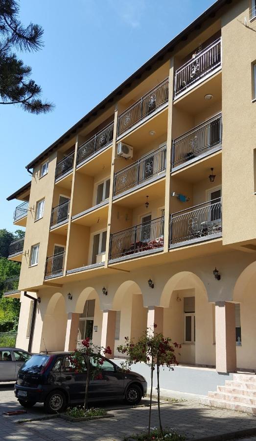 Apartman Ristanovic Banja Koviljača エクステリア 写真