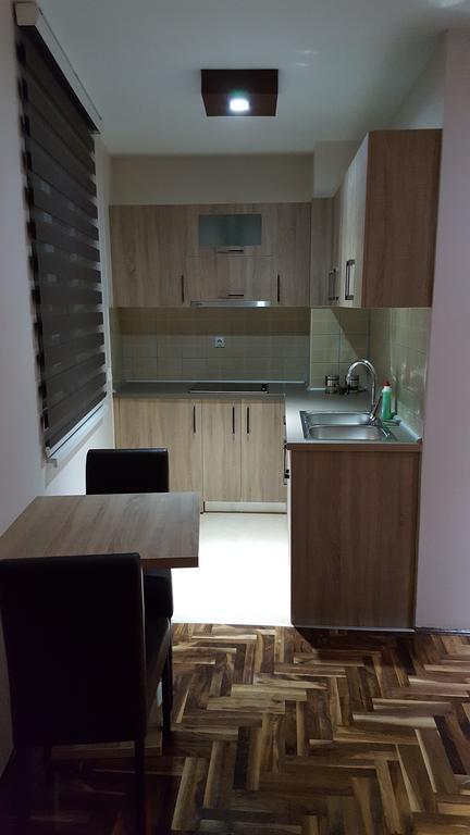 Apartman Ristanovic Banja Koviljača エクステリア 写真